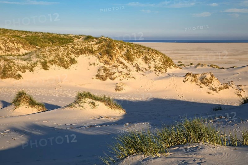 Dunes in the evening light with view of the Kniepsand and the sea
