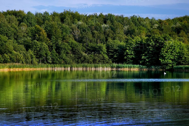 Natural landscape at the Schaalsee