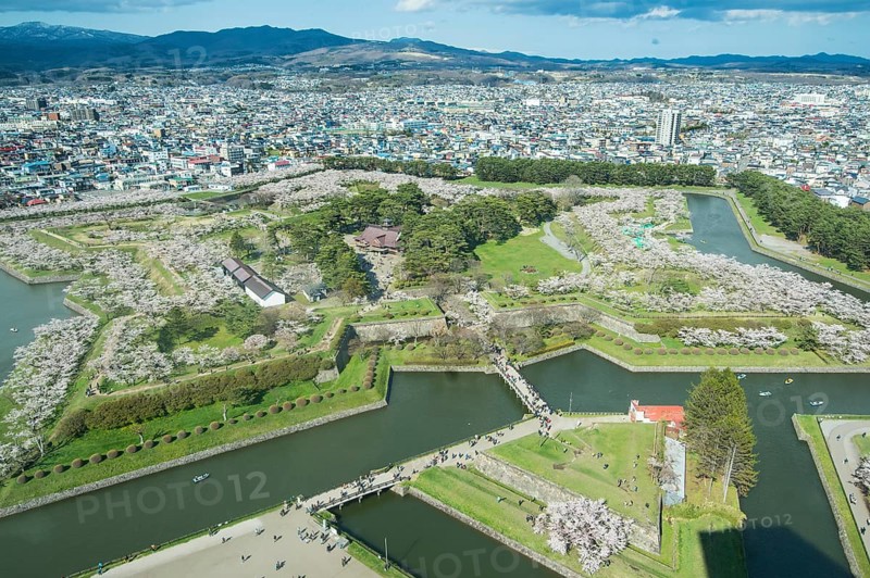 Star shaped Fort Goryokaku in the cherry blossom
