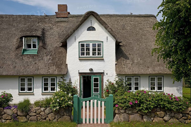 Thatched roof house