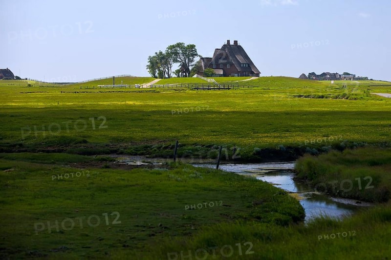 The Kirchwarft with marshland and drainage ditches