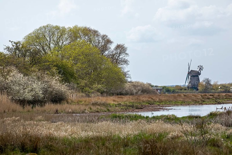 Windmill Charlotte