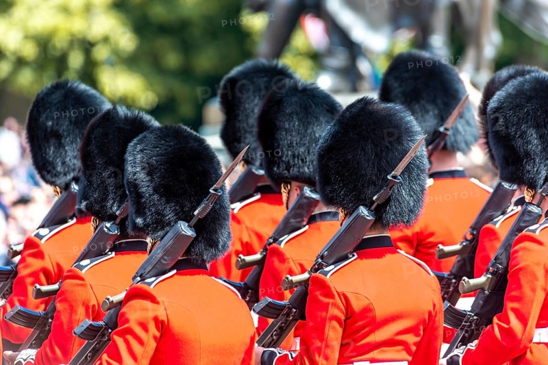 Guards of the Royal Guard with bearskin cap and weapons