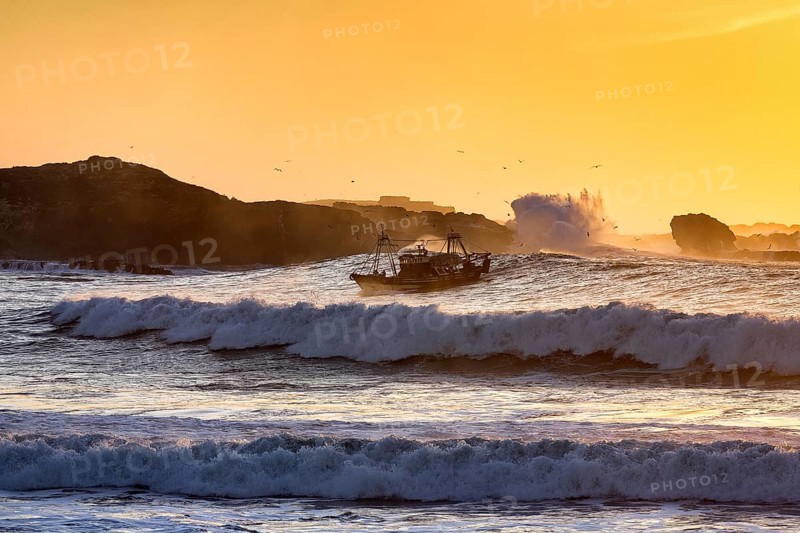 Fishing boat with seagulls in the surf
