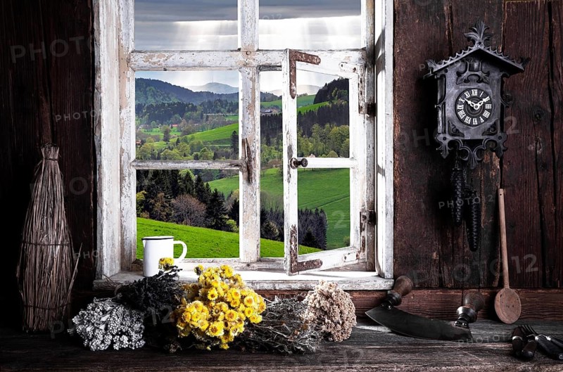 View from the farmer's kitchen with herb bouquets into the landscape