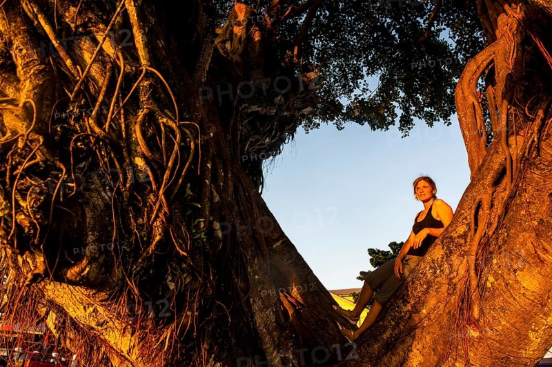 Girl standing in a giant old tree at sunset in downtown Apia