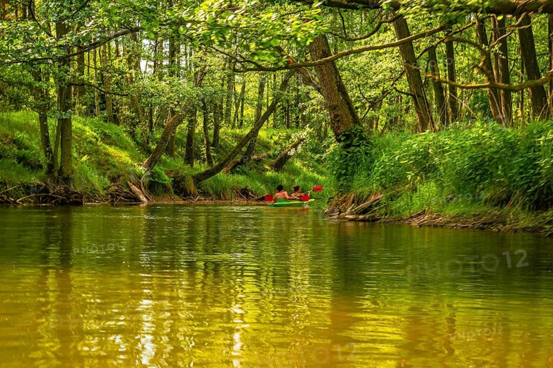 The bank of the Brda river near the village of Sapolno. Kashubia