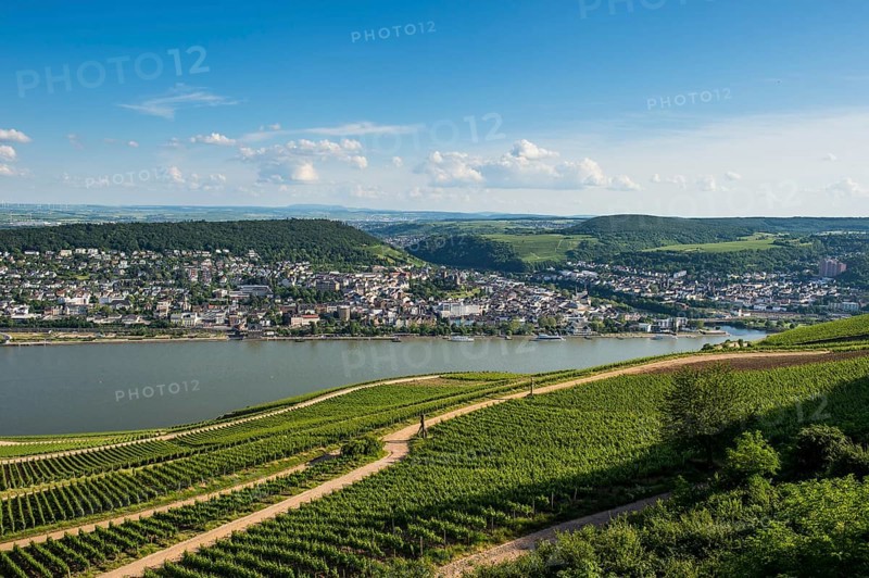 View over the Rhine from the Niederwalddenkmal monument
