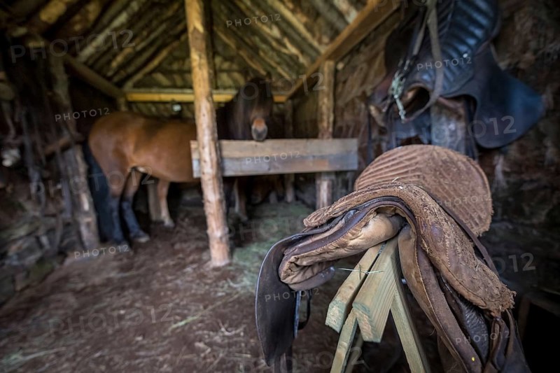 Saddles
