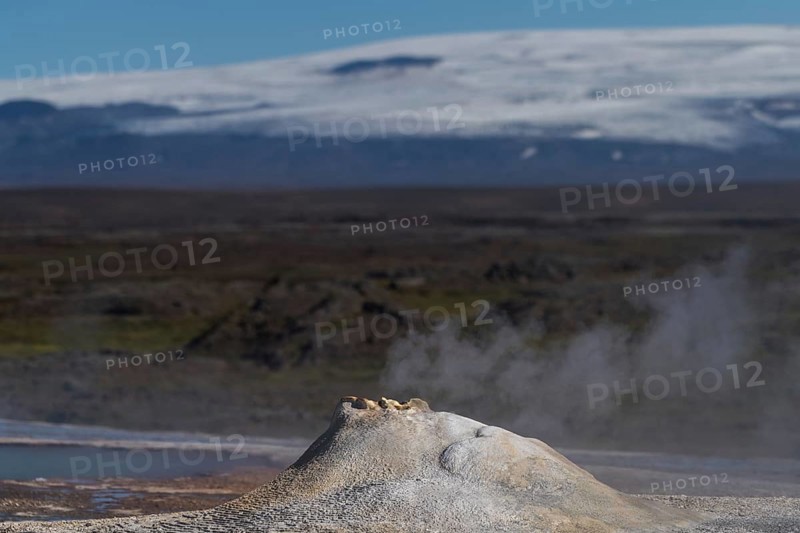 Steaming hot spring Oeskjuhoell or Oeskurholhver in front of glacier
