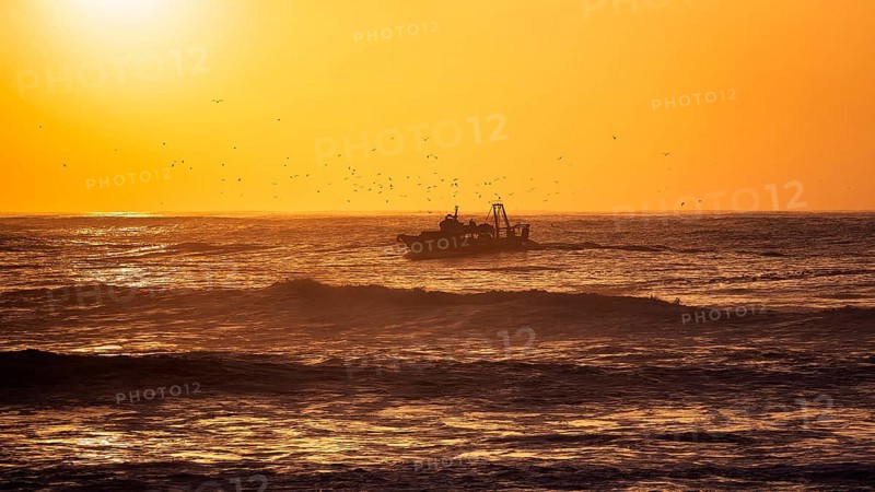 Fishing boat with seagulls in the surf