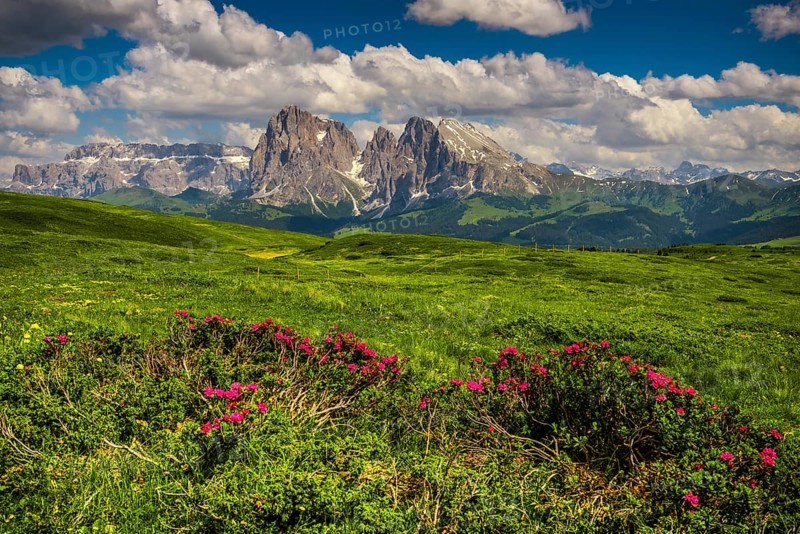 View of the peaks of the Langkofel (left) and the Plattkofel (right)