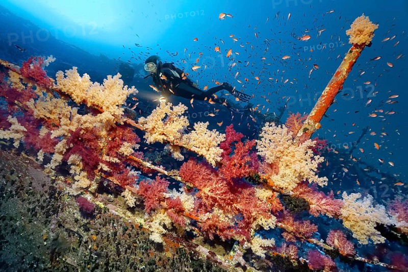 Diver with lamp looking at the railing of the shipwreck of the Aida