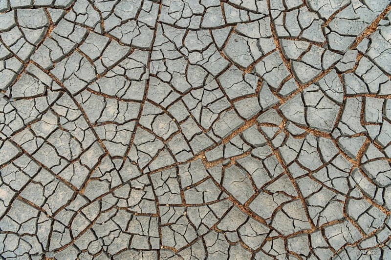 Cracks in the clay soil form mosaic-like structure