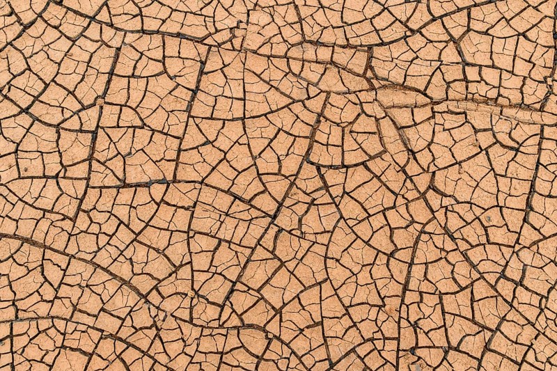 Cracks in the clay soil form mosaic-like structure