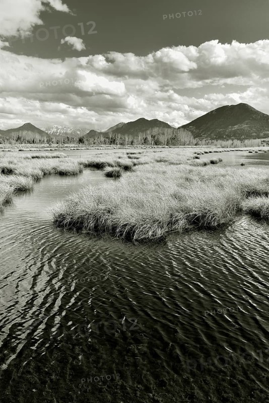 Water surface rippled by wind on pond in moor landscape
