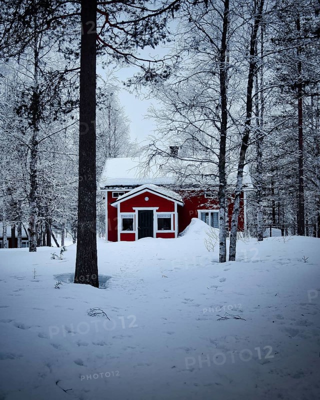 Red hut in the forest at blue hour