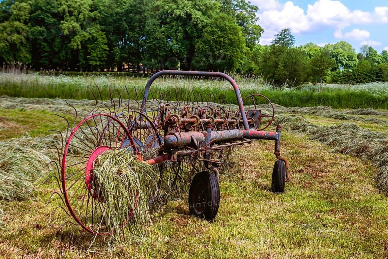 An old hay tedder