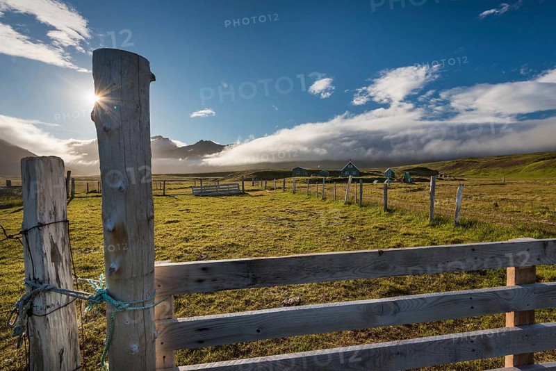 Sheep fence and