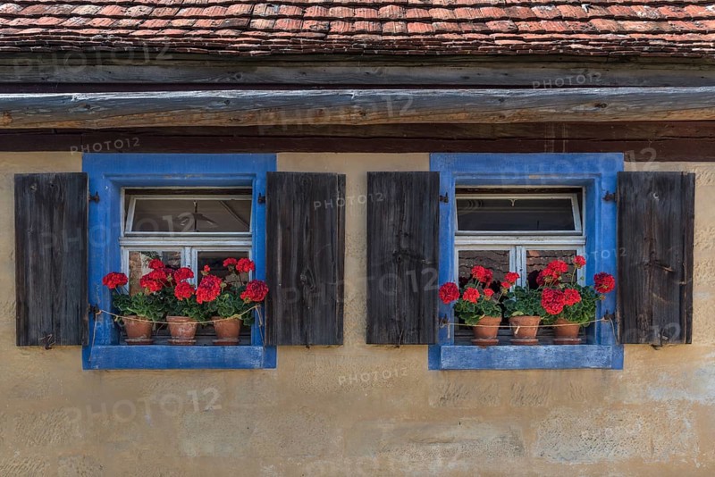 Window with geraniums of a crofter's house/vintner's house