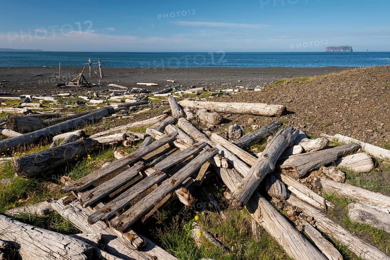 Beach with driftwood