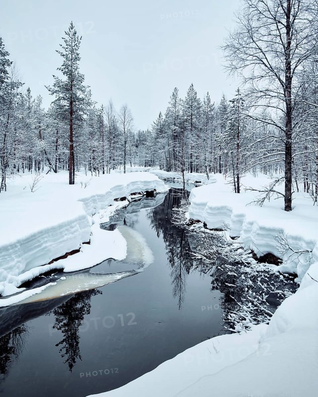 Icy river with spruces and snow