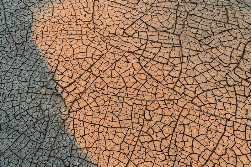 Cracks in the clay soil form mosaic-like structure