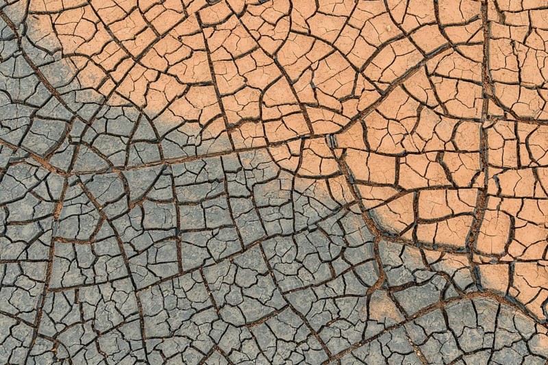 Cracks in the clay soil form mosaic-like structure