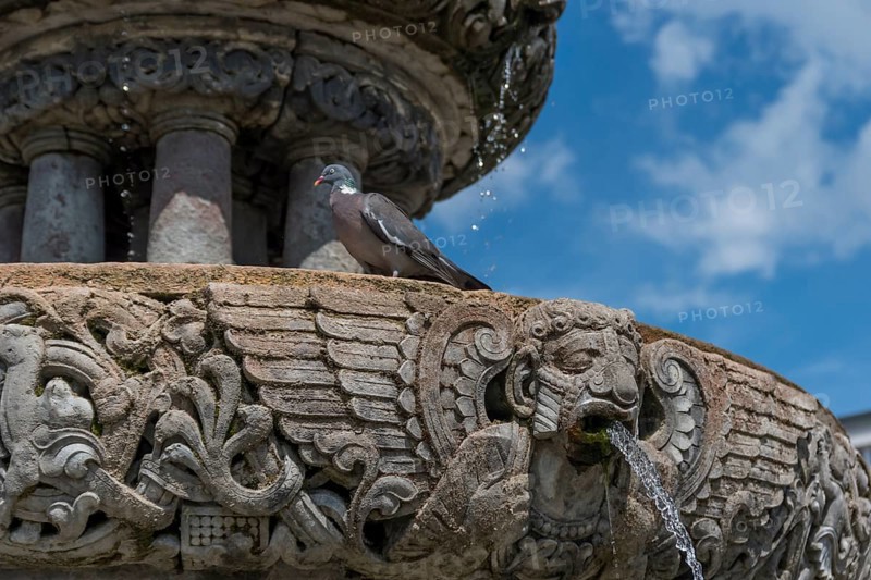 Roland Fountain