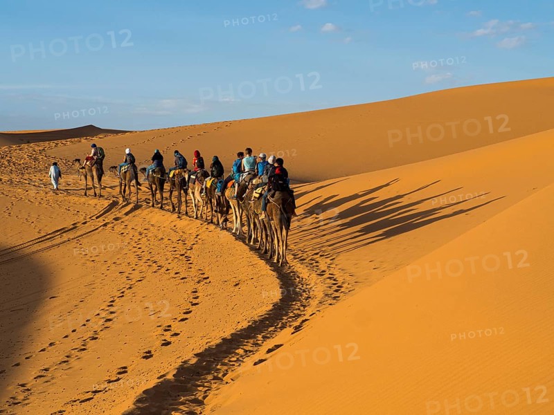 Tourists ride on Dromedary (Camelus dromedarius)
