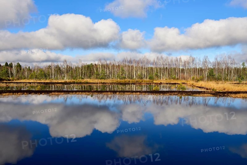 Cloud reflection in moor pond