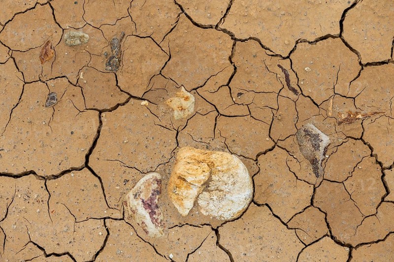 Cracks in the clay soil and coloured rhyolite rock