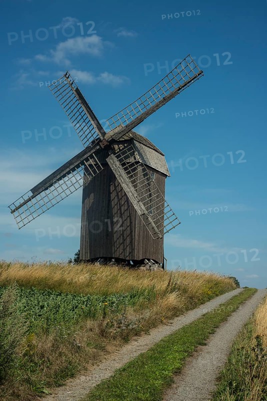 Old windmill build in 1792 at country road and field of sugar beets at Jordberga