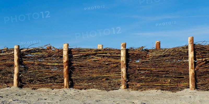 Fence made of brushwood branches for coastal protection