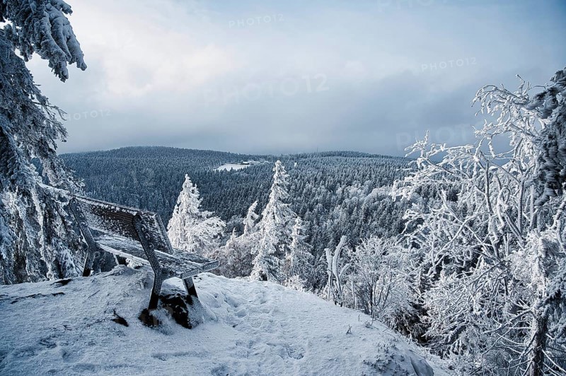 Frozen bench