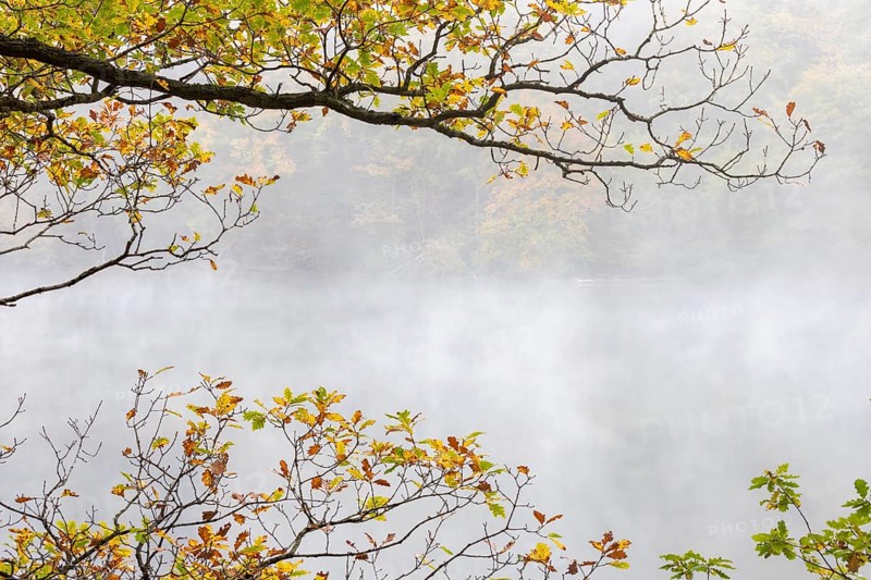 Autumn fog at the Obersee