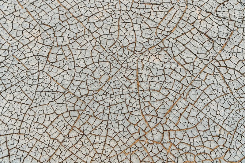 Cracks in the clay soil form mosaic-like structure