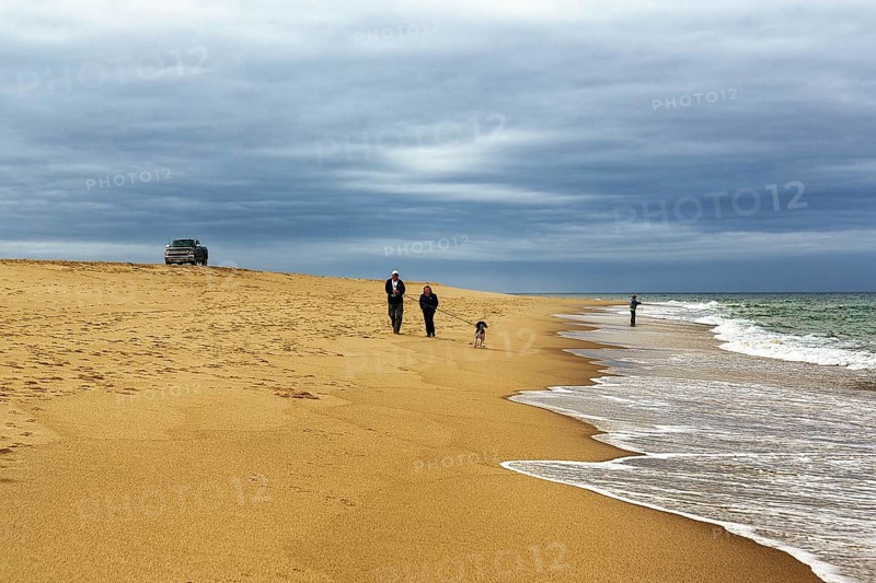 Walkers at the empty beach