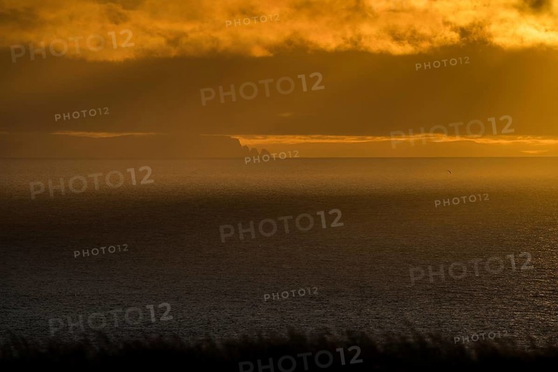 Coast of Strandir at sunset