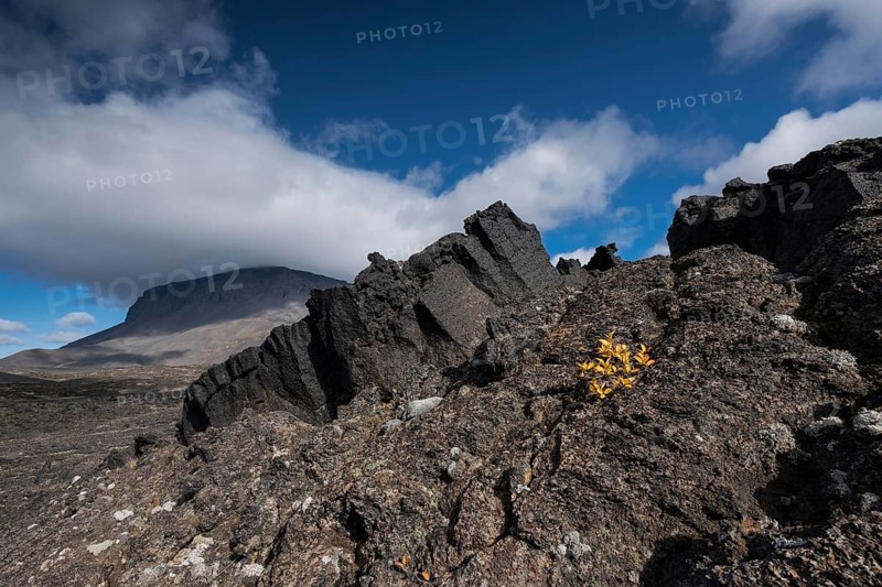 Solidified lava