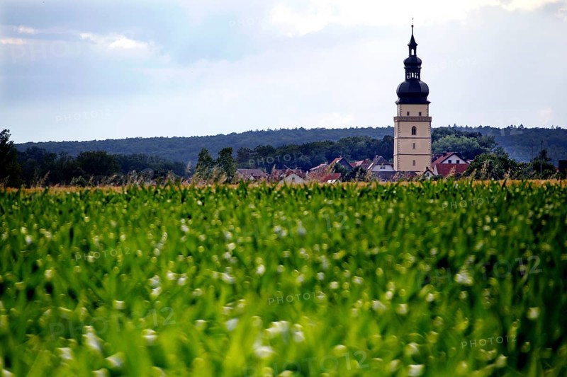 Field and church spire