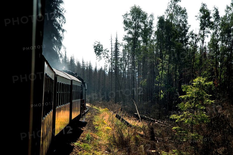 Harz narrow gauge railway