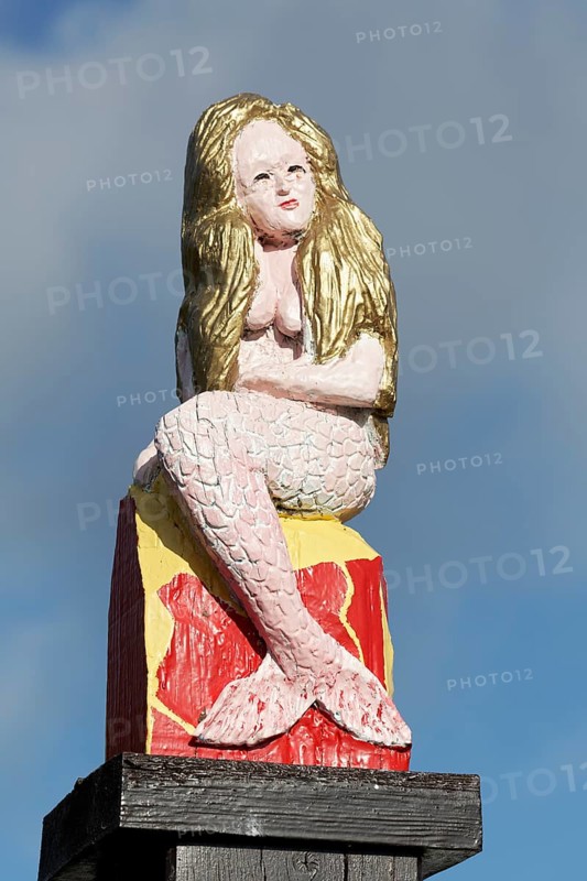 Mermaid