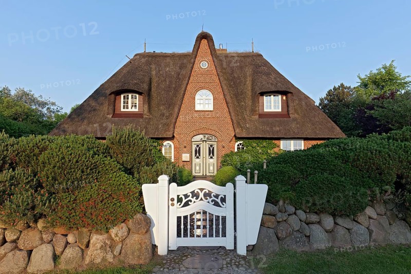 Frisian house with thatched roof