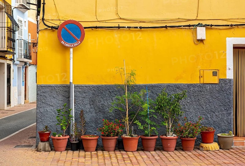 No waiting road sign and flowerpots in front of yellow wall