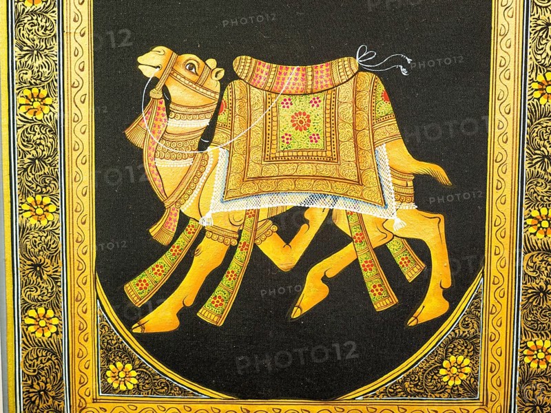 Camel