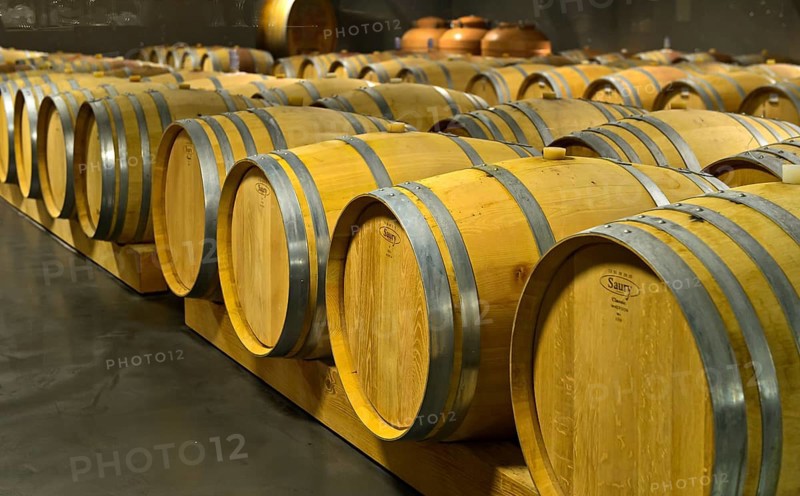 Saury oak barrels with Heida wine in the barrique cellar of the St. Jodern Winery