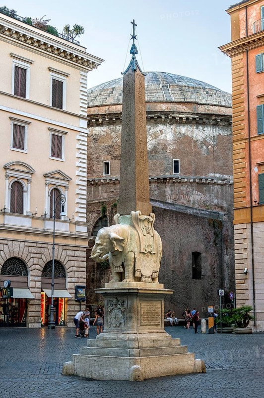 Pulcino della Minerva