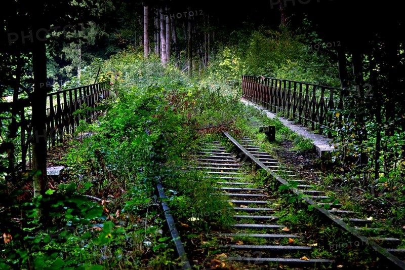 Railway tracks in the Eckertal valley