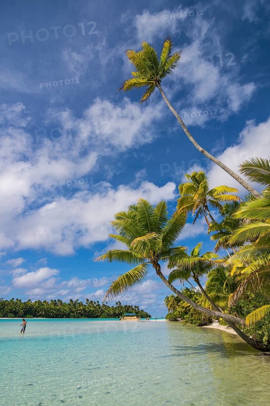 White sand and palm fringed beach in Aitutaki lagoon